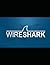 Wireshark-The Ultimate Guide