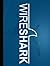 Wireshark-The Ultimate Guide