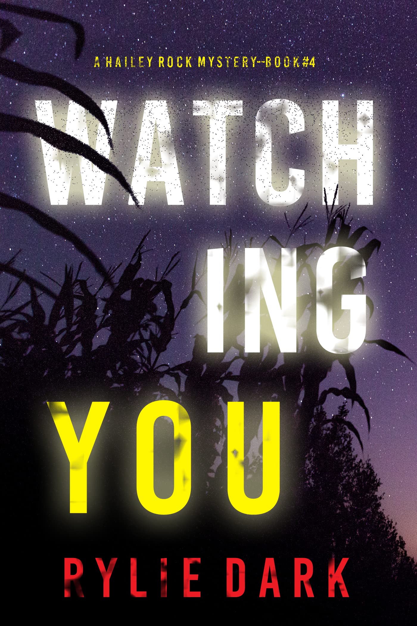 Watching You (Hailey Rock #4)