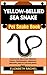YELLOW-BELLIED SEA SNAKE Pe...
