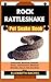 ROCK RATTLESNAKE Pet Snake ...