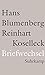 Briefwechsel 1965-1994 by Hans Blumenberg