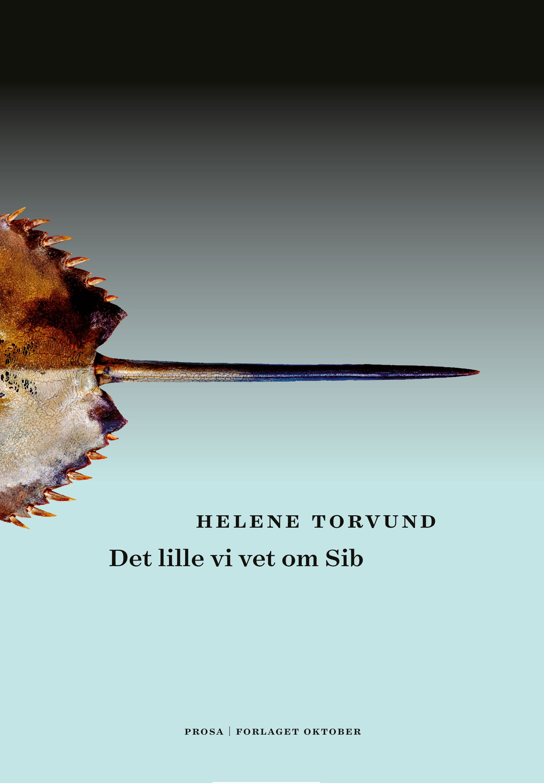 Det lille vi vet om Sib (Hardcover)