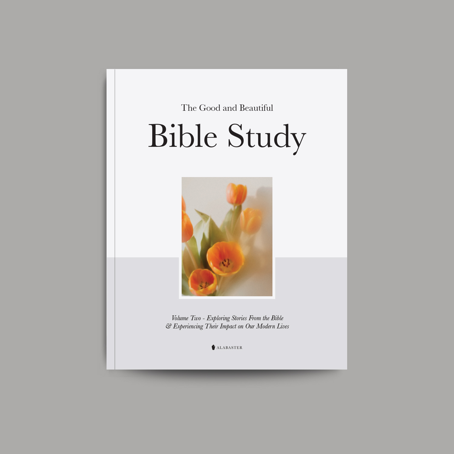 The Good and Beautiful Bible Study vol.2