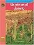 Un ano en el desierto (Yellow Umbrella Books: Science Spanish)