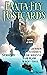 Fanta-Fly Postcards (Postcard Stories Book 3)