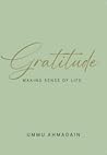 Gratitude: Making Sense of Life
