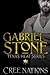 Gabriel Stone (Texas Heat S...