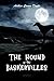The Hound of the Baskervilles