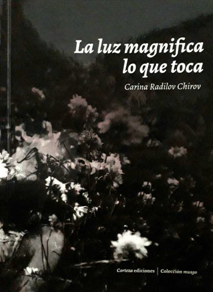 La luz magnifica lo que toca
