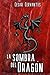La Sombra del Dragón