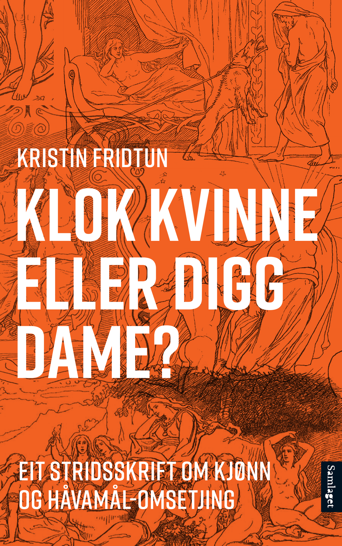 Klok kvinne eller digg dame? - eit stridsskrift om kjønn og Håvamål-omsetjing (Hardcover)