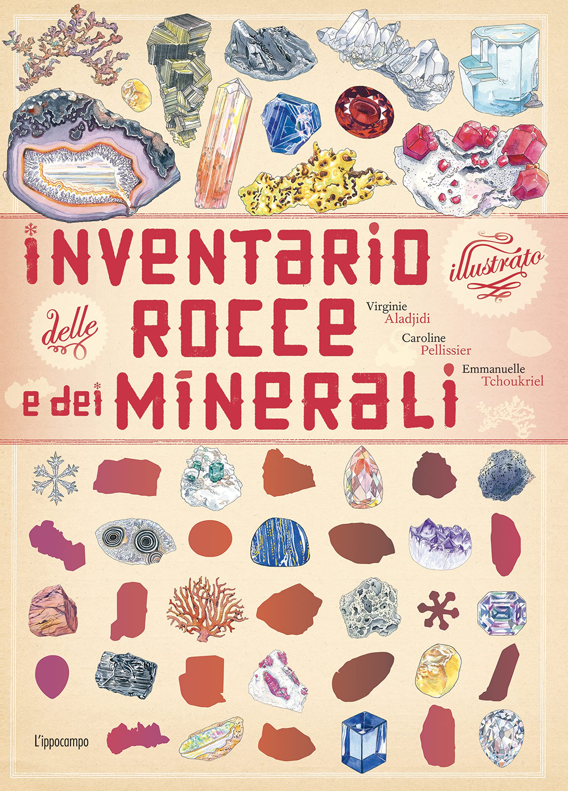 Inventario illustrato delle rocce e dei minerali (Hardcover)