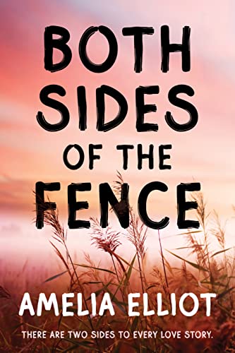 Both Sides of the Fence (Thunderstruck, #1)