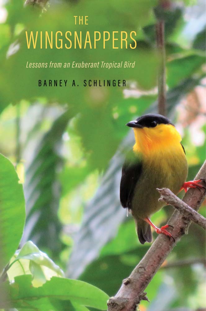 The Wingsnappers: Lessons from an Exuberant Tropical Bird (Kindle Edition)