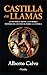 Castilla en llamas: Lucha por el trono: el increíble ascenso de Isabel la Católica