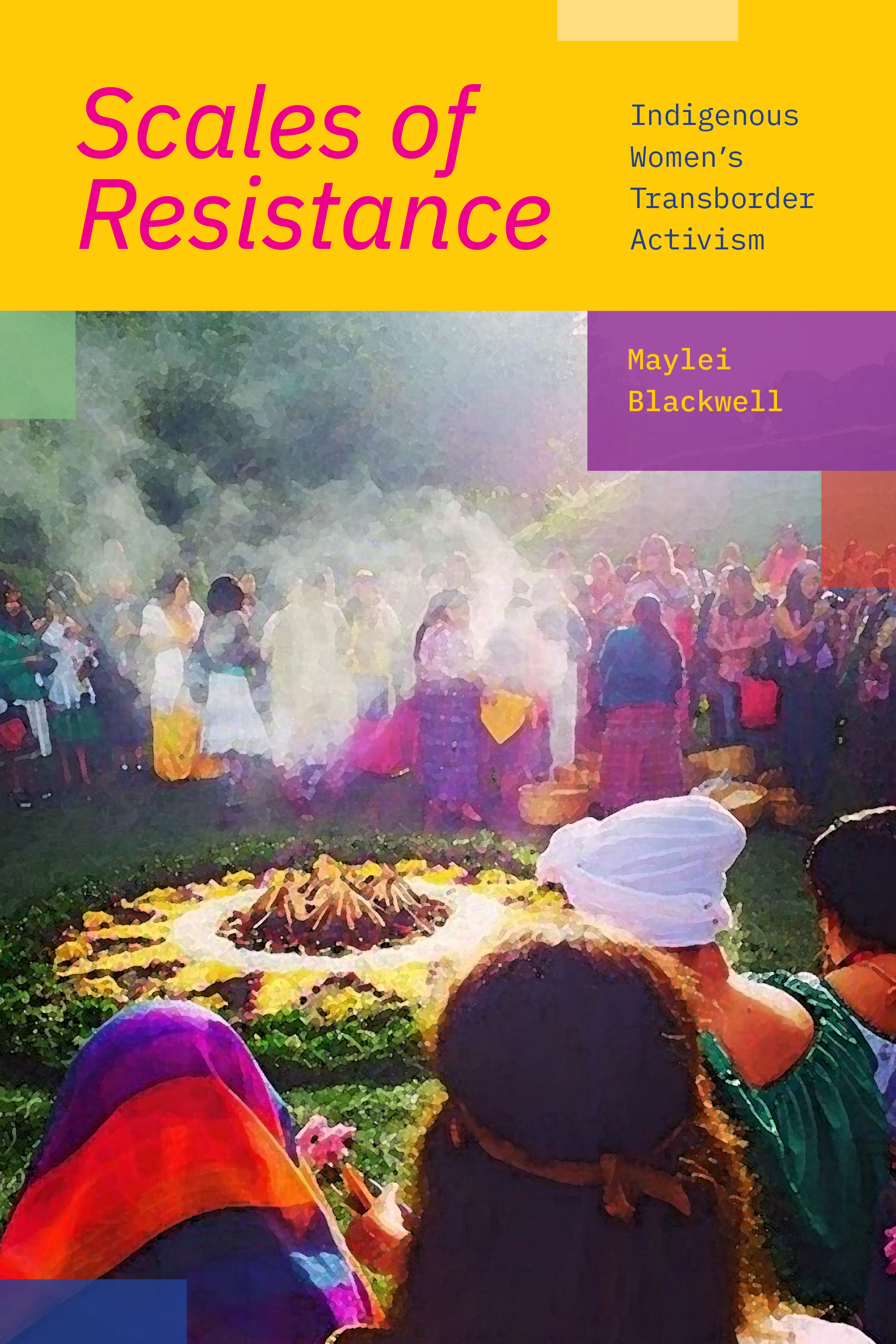 Scales of Resistance: Indigenous Women’s Transborder Activism (Paperback)