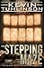 The Stepping Maze: A Dan Kotler Archaeological Thriller