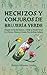 Hechizos y Conjuros de Brujería Verde by Beatrix Minerva Linden