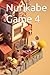Nurikabe Game 4
