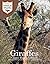 Giraffes: Junior Field Guide