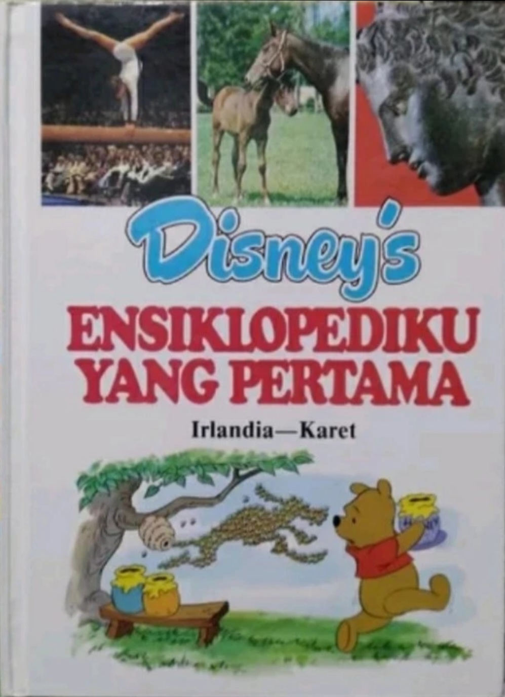 Disney's Ensiklopediku Yang Pertama Vol 10 : Irlandia - Karet (Hardcover)