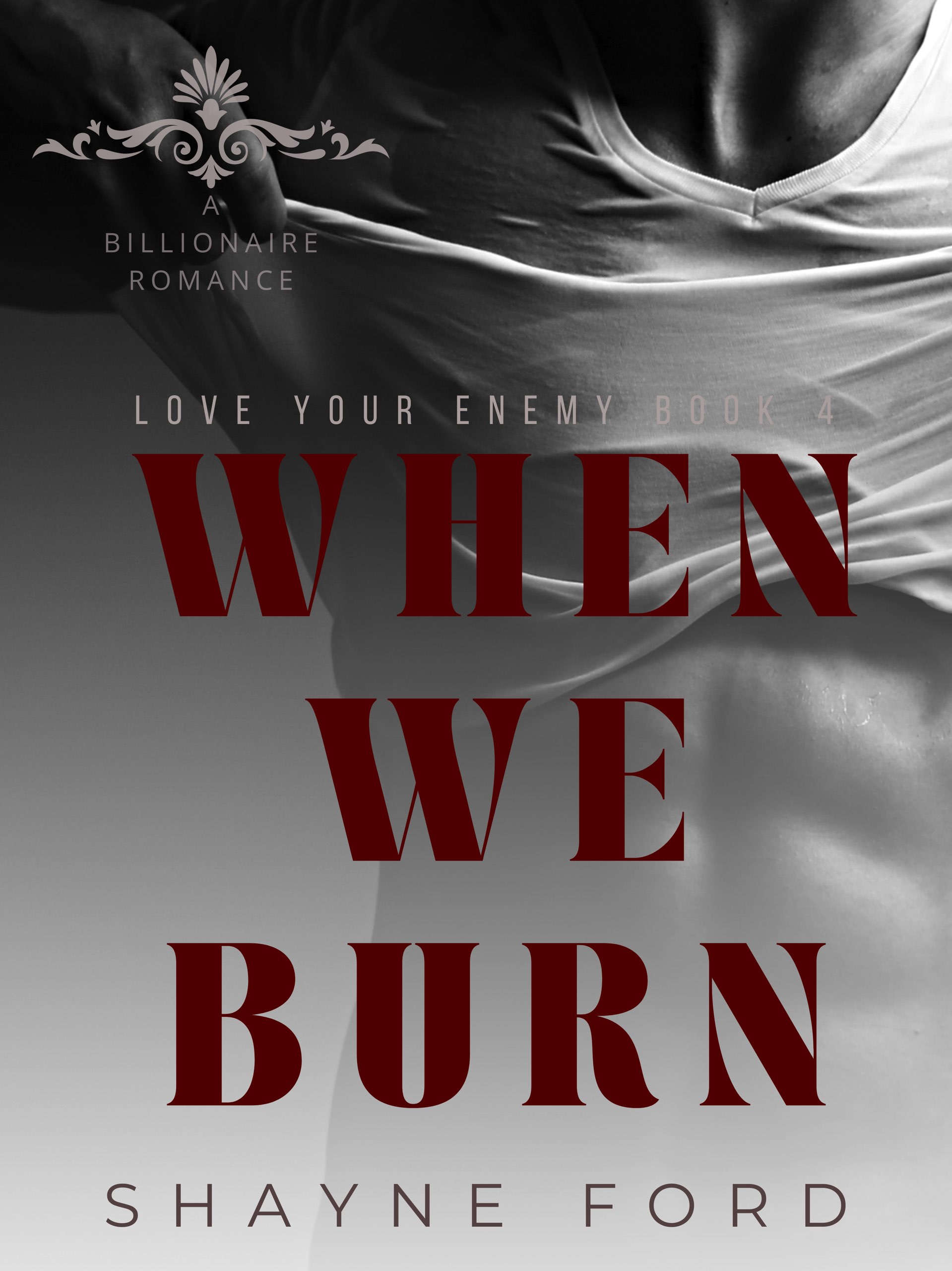 When We Burn (Love Your Enemy, #4)