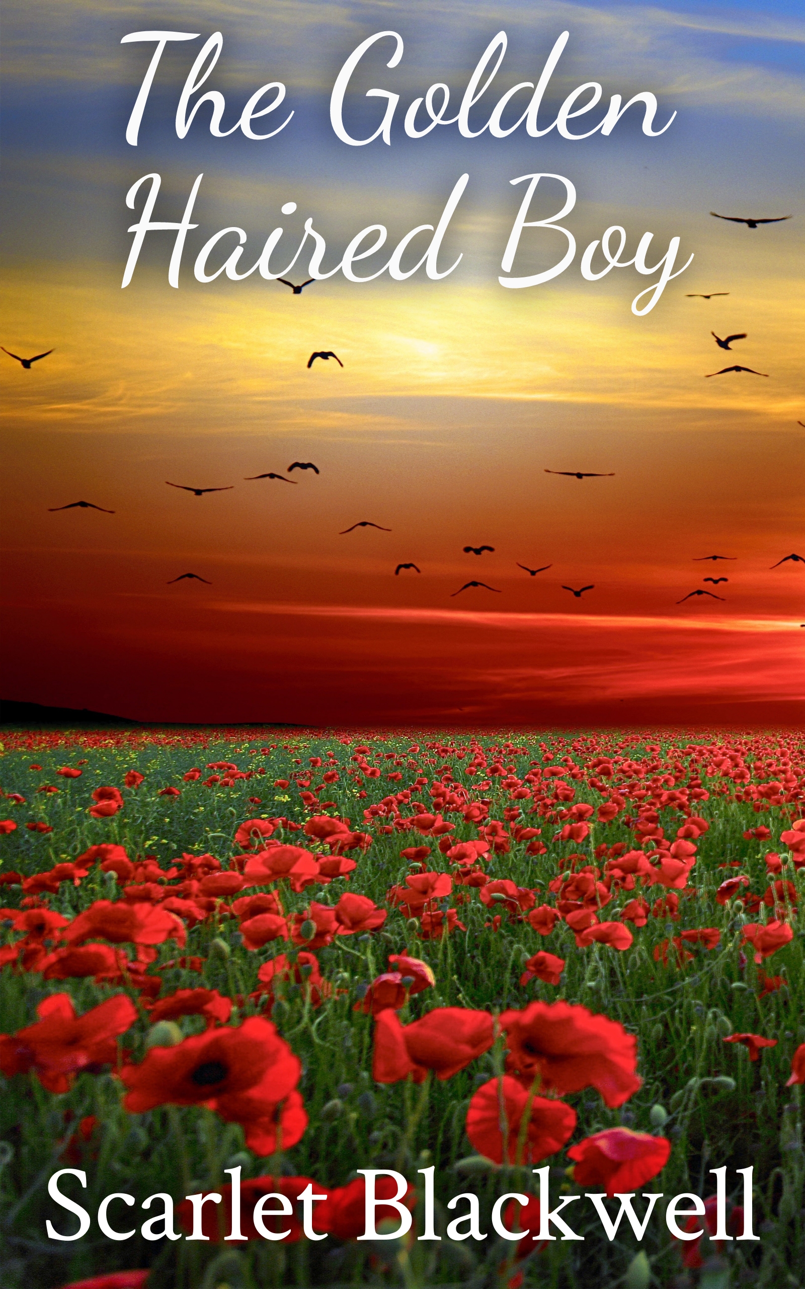The Golden Haired Boy (ebook)