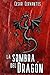 La Sombra del Dragón
