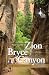 Your Guide to Zion and Bryc...