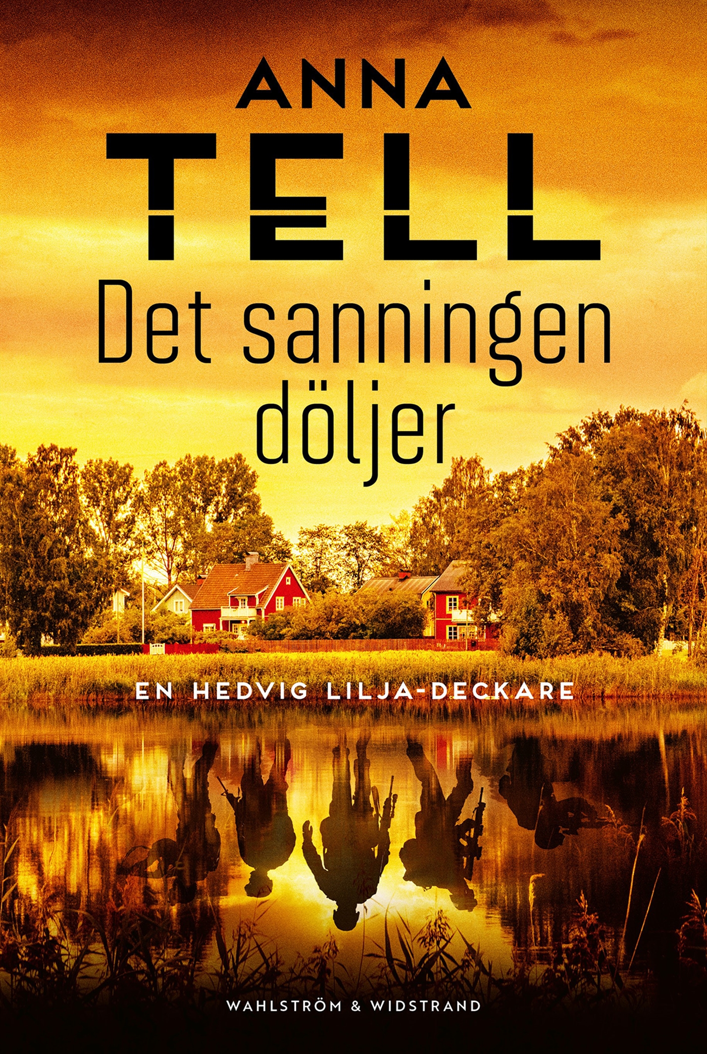 Det sanningen döljer (Hedvig Lilja, #1)