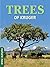 Trees of Kruger: Nature Now