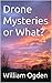 Drone Mysteries or What? by William Ogden