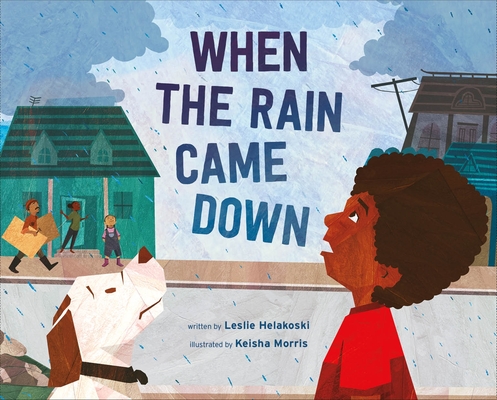 When the Rain Came Down (Hardcover)