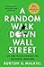 A Random Walk Down Wall Street by Burton G. Malkiel