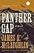 Panther Gap: A Novel
