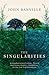 The Singularities