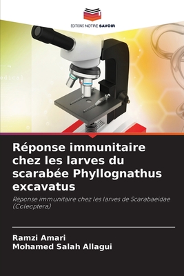 Réponse immunitaire chez les larves du scarabée Phyllognathus excavatus: Réponse immunitaire chez les larves de Scarabaeidae (Coleoptera) (French Edition)