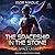The Spaceship in the Stone (The Space Legacy, #1)