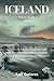 ICELAND TRAVEL GUIDE 2023: ...