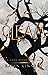 Gleam : La saga d'Auren - T03 (French Edition)