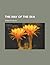 The way of the sea