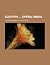 Eugyppii opera omnia by Eugippius