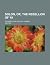 Solon, or, The rebellion of '61; a domestic and political tra... by Delphine