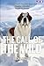 The Call of the Wild (Translated) by Jack London