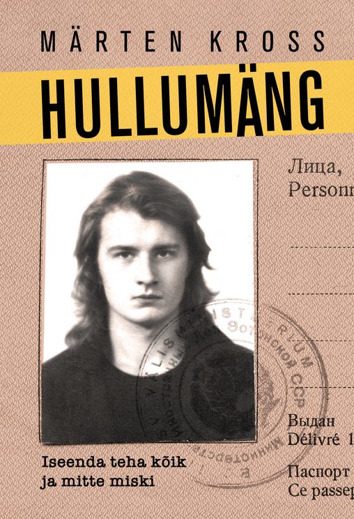 Hullumäng (Paperback)
