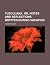 Tusculana, or, Notes and re...