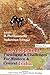 New Development Paradigms and Challenges for Western and Cent... by R. Parthasarathy