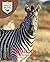Zebras: Junior Field Guide