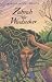 Zahrah the Windseeker by Nnedi Okorafor-Mbachu